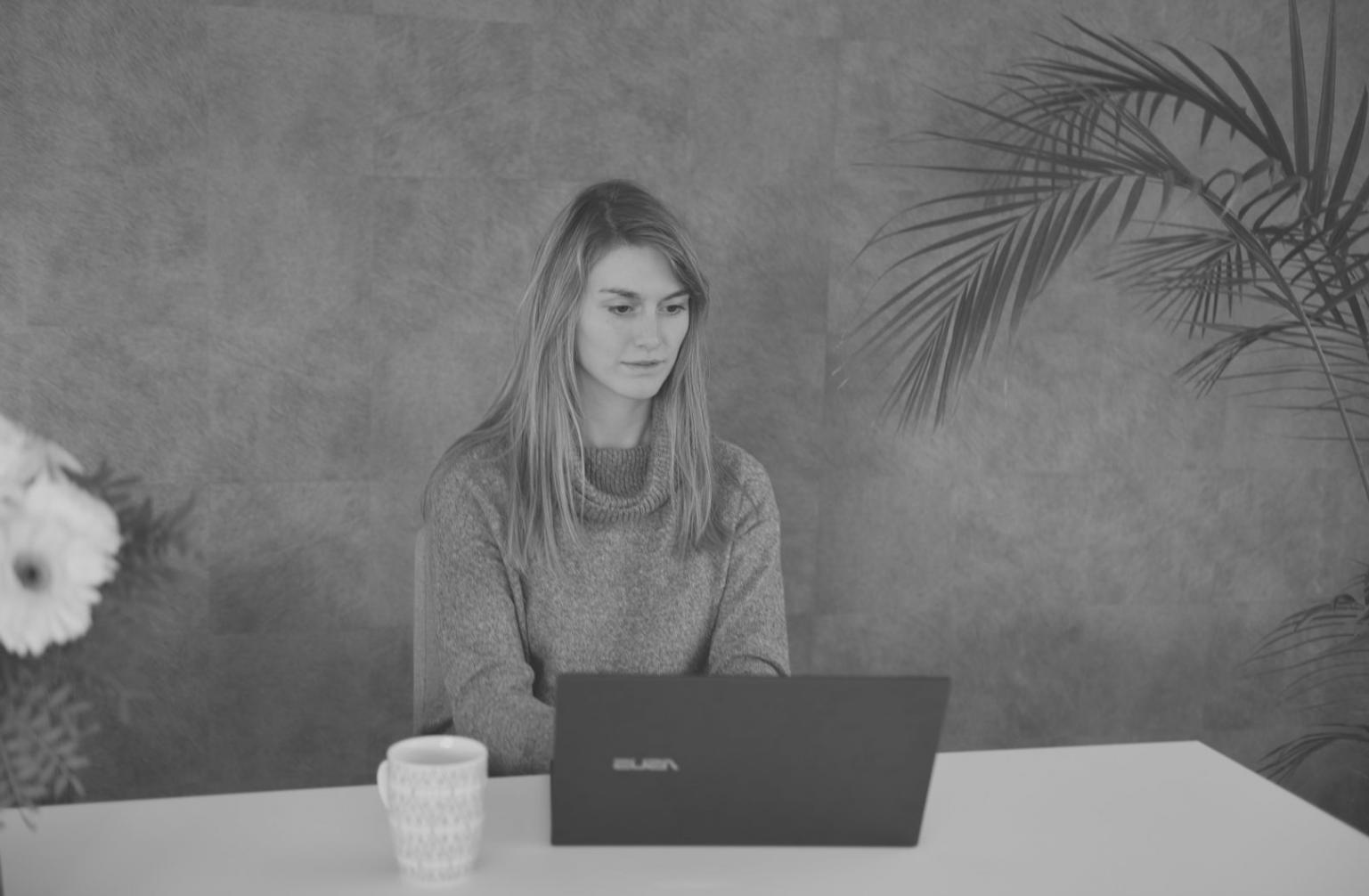 Professional financial consultation meeting